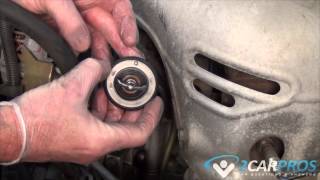 Radiator Hoses and Thermostat Replacement