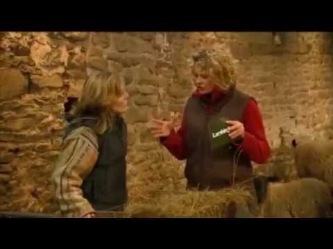Lambing Live 2010 - Episode 5