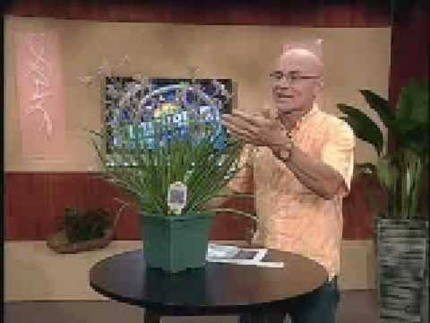 Mediodía PR 2/24/09 - Inventando con Douglas Candelario