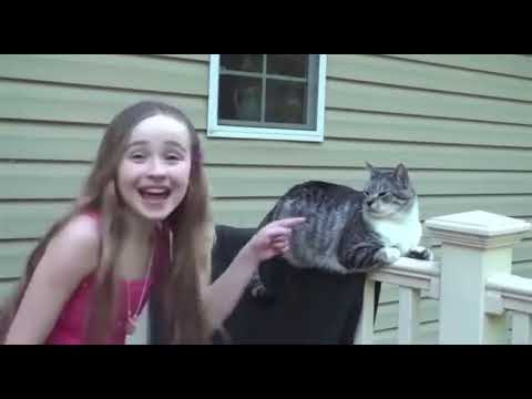 Sabrina Carpenter talking to a Cat