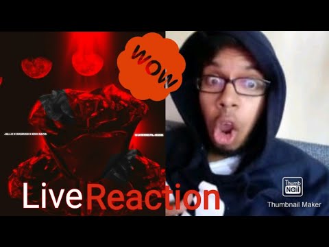 JALLE, DONDON & EDO SAIYA - SOMMERLIEBE REAKTION/REACTION) Erster Eindruck