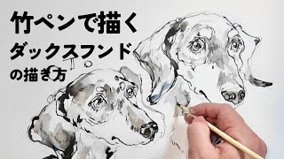 竹ペンタッチ犬の似顔絵|ダックスフンド|絵画教室|描き方　