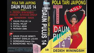 Download lagu Dedeh Winingsih & Suwanda Group - Daun Pulus 14 mp3