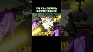 원피스) 무려 오로성 참교육하는 밀짚모자 간부들 근황