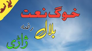 Pashto Naat  Bilal Jareegee  Pashto new Naat 2020 