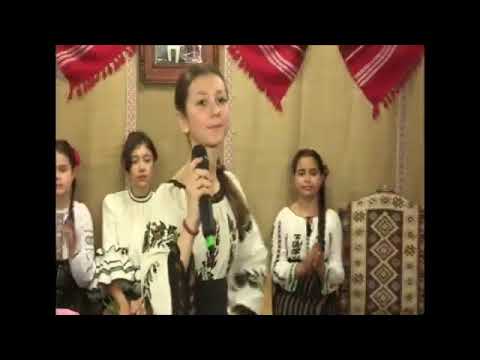 Maria Avadanei - Ziceri pentru orișicare(Cântecul proverbelor) - cover Iustina Irimia-Cenușa