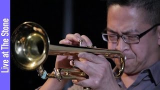 Crush Quartet: Yellow are Crowds of Flowers II