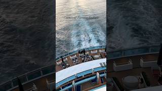 Stunning Ocean Sunset from Carnival Firenze ✨#travel #cruise #shorts