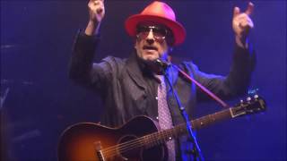 Elvis Costello & Imposters @ Blenheim Palace, Oxford 16th June 2018