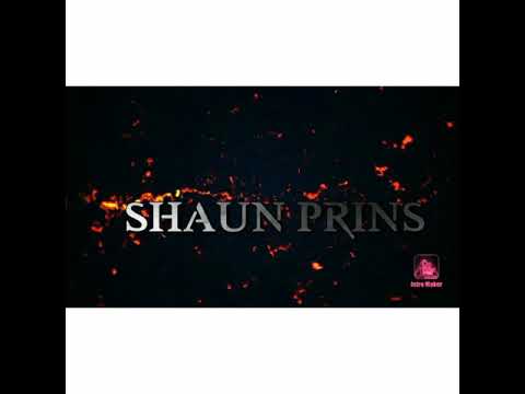 Shaun Prins
