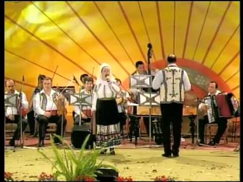 Albesteanu 2005 - Floarea Calota