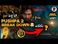 Pushpa 2 Break Down Hidden Details | Allu Arjun | RatpacCheck | Pushpa 2  The Rule Teaser Trailer