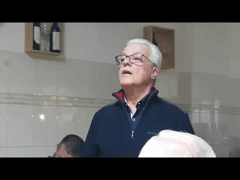 Fado - Artur Peixoto