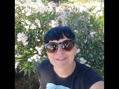 Kempingowe wakacje 2023 - Camping Jezera Lovisca w Chorwacji na wyspie Murter - cz. 2 - 09.07.2023