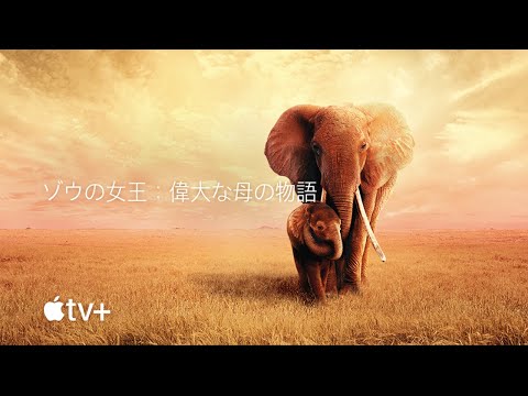 映画公式予告編（字幕）