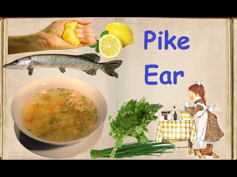 Pike Ear / Book of recipes / Bon Appetit