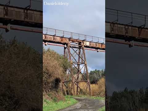 La Línea del Tren en Río Bueno