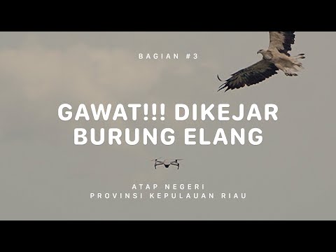 GUNUNG DAIK - SEPINCAN - Atap Negeri Kepulauan Riau #3