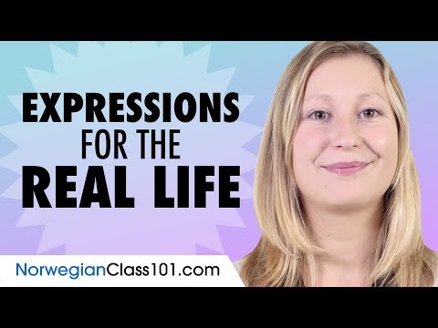 Vocabulary and Common Expressions for Real Life Norwegian Conversation