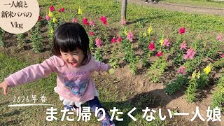 【vlog】一人娘と新米パパの休日ルーティーン！公園で楽しく遊びます！帰りたくないよ〜とお願いされました（育児）