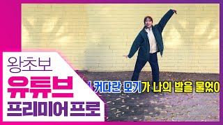 👍 노래방 스타일 자막 만들기 [왕초보 유튜브 프리미어 프로] premiere pro 2020
