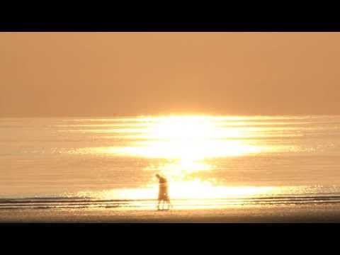 Video 71 aus  Ferienhof Peter -  Ponys - streicheln, striegeln, füttern  -  Wattwanderungen + ganz viel Nordsee