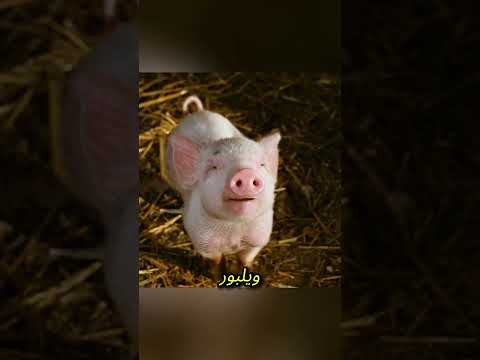 صداقة غير متوقعة 💖🐖🕸️