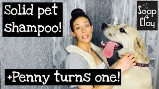 How to make pet shampoo! | Penny