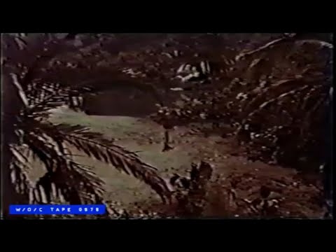 WOC Tape 0878 "Gilligan's Island" Commercial Compilation - 1966