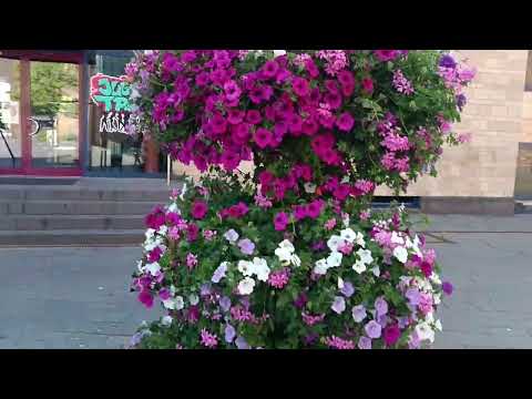 St. Anna Church and Walks Near the City Center — Düren, Germany ⛪️