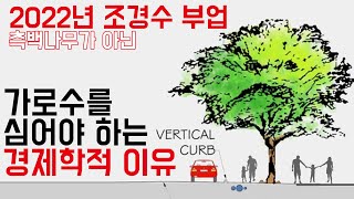 2022년 조경수 부업. 측백나무보다 가로수를 심어야 하는 경제학적 이유! (나무재테크, 환경문제, 도시조경…