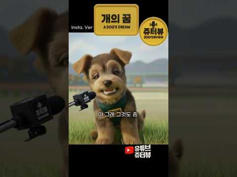 개의 꿈 [쥬터뷰]   쇼츠.Ver - by 스포츠중계 올킬티비