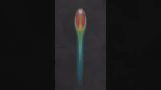 Heath - Isaak's Marble video