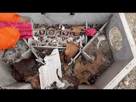 Mice Snack on the Bait & Inspection Card in...