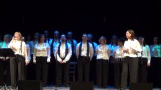 slave song choir - his eye is on the sparrow.avi