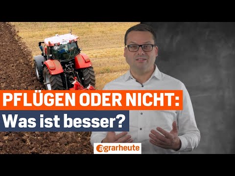Pflügen oder pfluglos - was ist besser für den Boden?