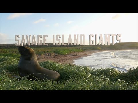 Savage Island Giants National Geographic Documentary NHNZ Narration by Steve Duck
