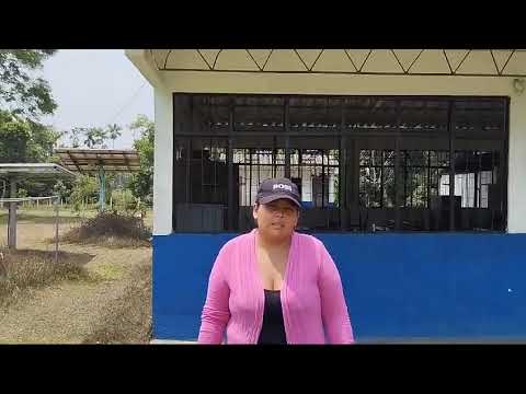 video sobre el internet vereda Buenavista Municipio Puerto Rico Meta
