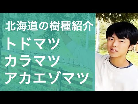 IUCN分類における絶滅の危険性を示す図。