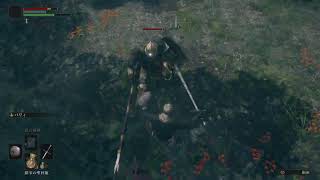 ELDEN RING #02