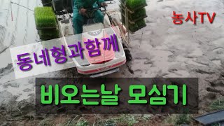 2019년 5월 19일 모심기[농사TV]