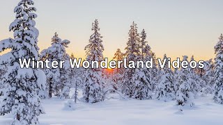 3 Hours of Winter Wonderland + Calming Music for Relaxation With Beautiful Winter Videos