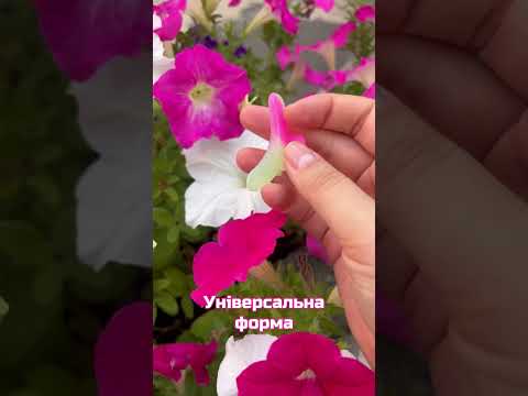 Lash Assistant колір світло-рожевий, 1 шт