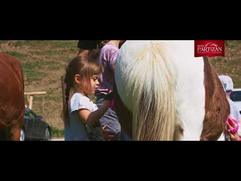 Mini ZOO, Ajax farma so zvieratkami pre deti