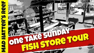 Fish Store Tour | One Take Sunday