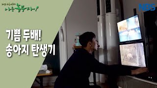 [한우愛 빠진 초보 농부 승우 씨] 기쁨 두배! 송아지 탄생기