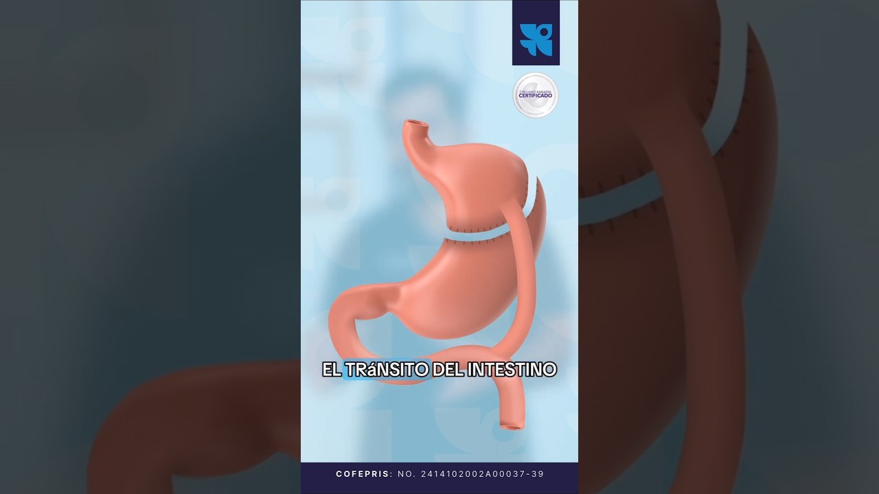 Ernesto Plasencia Camacho-8