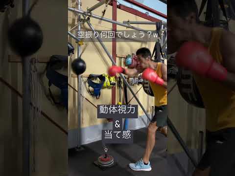 ダブルパンチングボールで動体視力&当て感 #ディフェンス #格闘技 #強みの見つけ方 #パンチ
