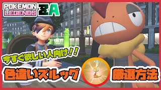 【 #ポケモンレジェンズZA #色違い 】ストーリー未クリアでも今すぐ欲しい！色違いズルッグ厳選方法を紹介！（※オヤブン個体もあり）
