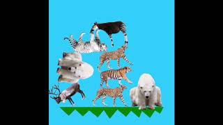 動物バトル